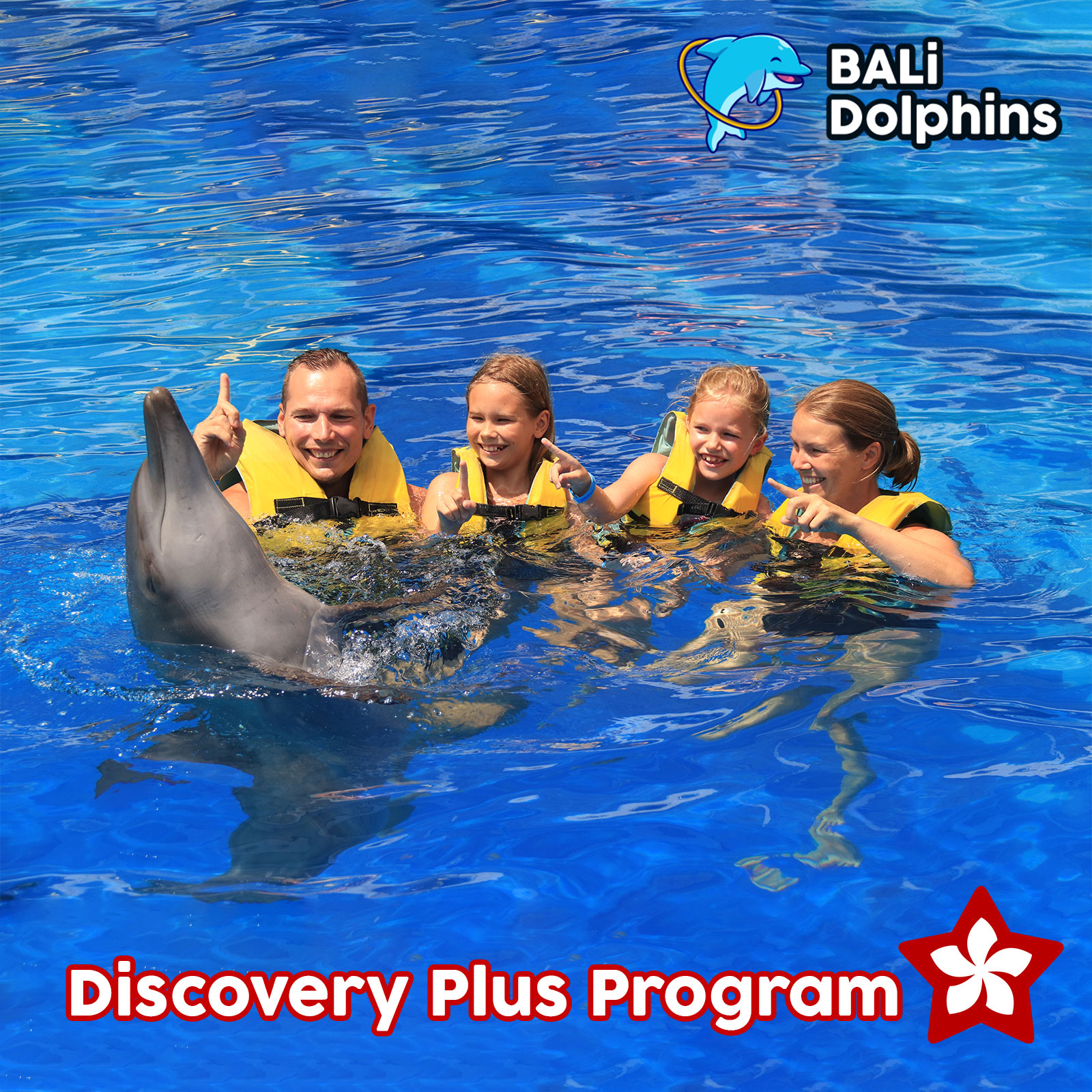 Bali Dolphin Discovery Plus Program