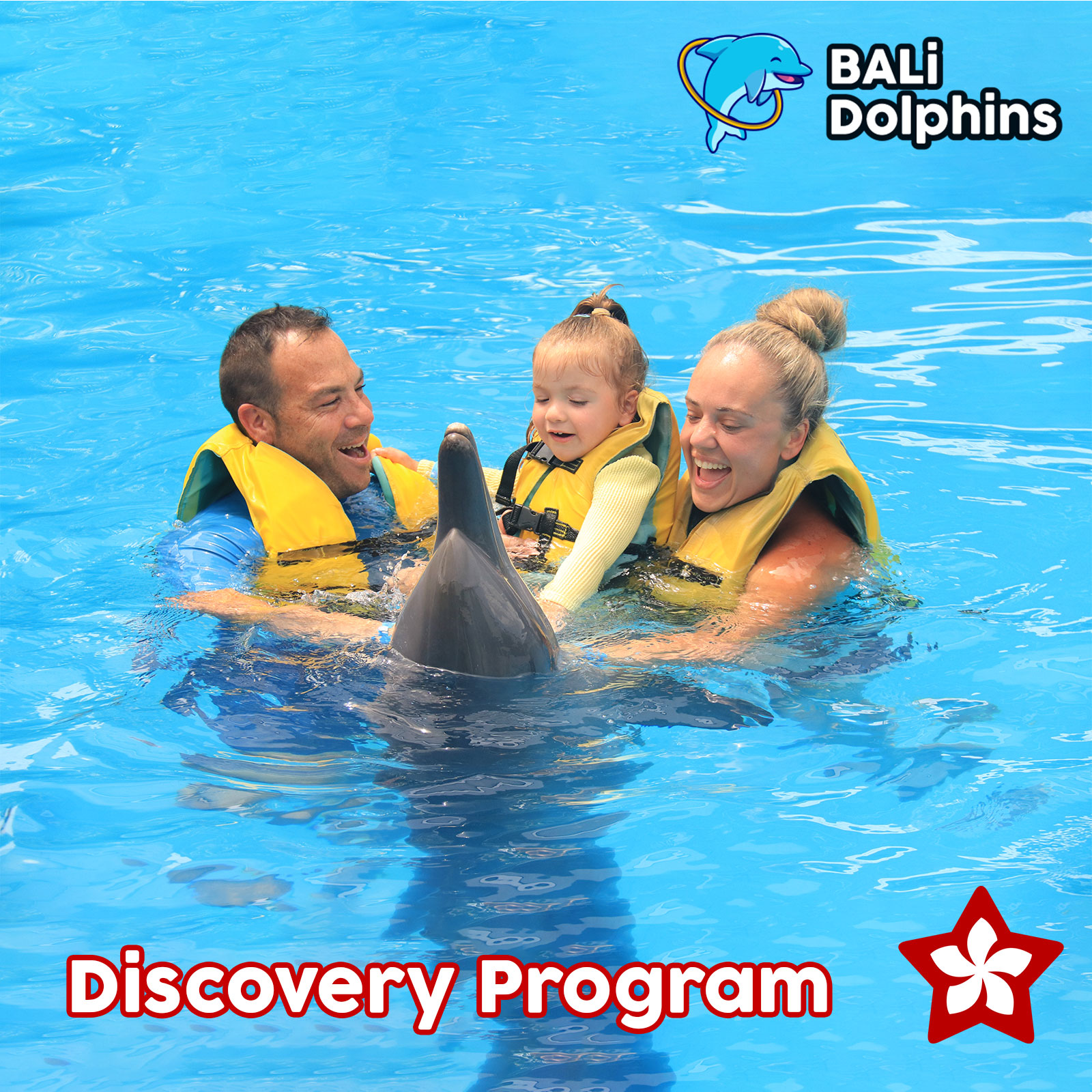 Bali Dolphin Discovery Program