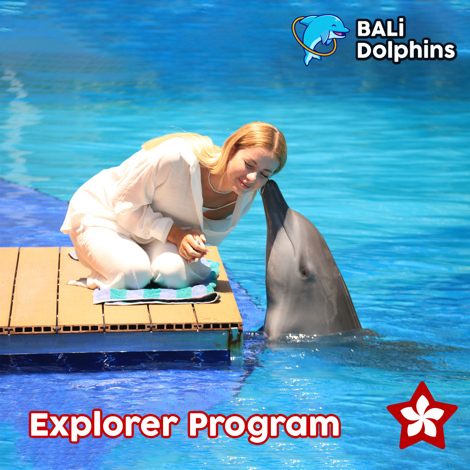 Bali Dolphin Explorer Program