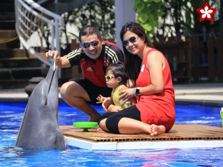 bali dolphin encounter program