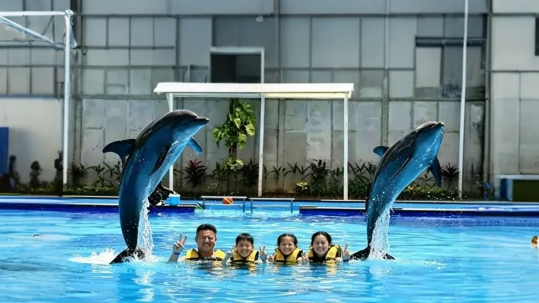 bali dolphins exotic marine park family package